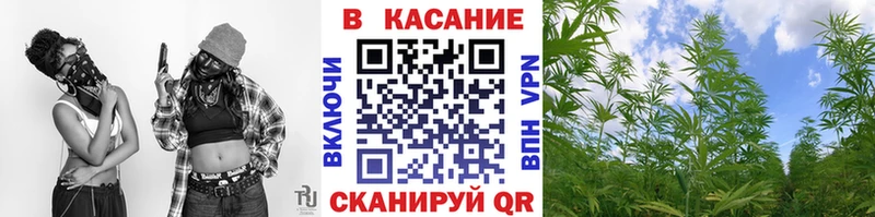 Купить наркотики цена Ковылкино ГАШ  Alpha-PVP  Меф  Галлюциногенные грибы  МАРИХУАНА 