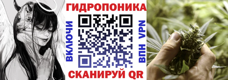 где купить наркоту  Ковылкино  Шишки марихуана SATIVA & INDICA 